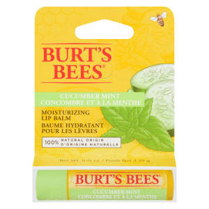 Burt's Bees Moisturizing Lip Balm Cucumber Mint 4.25 g