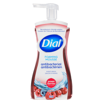 Dial Foaming Hand Wash Antibacterial Power Berries Scent 221 ml