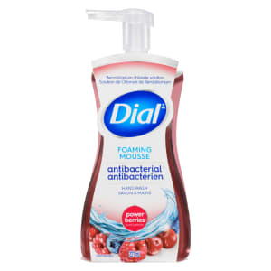 Dial Foaming Hand Wash Antibacterial Power Berries Scent 221 ml