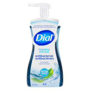 Dial Foaming Hand Wash Antibacterial Spring Water Scent 221 ml