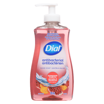 Dial Hand Soap Antibacterial Pomegranate Tangerine Scent 325 ml