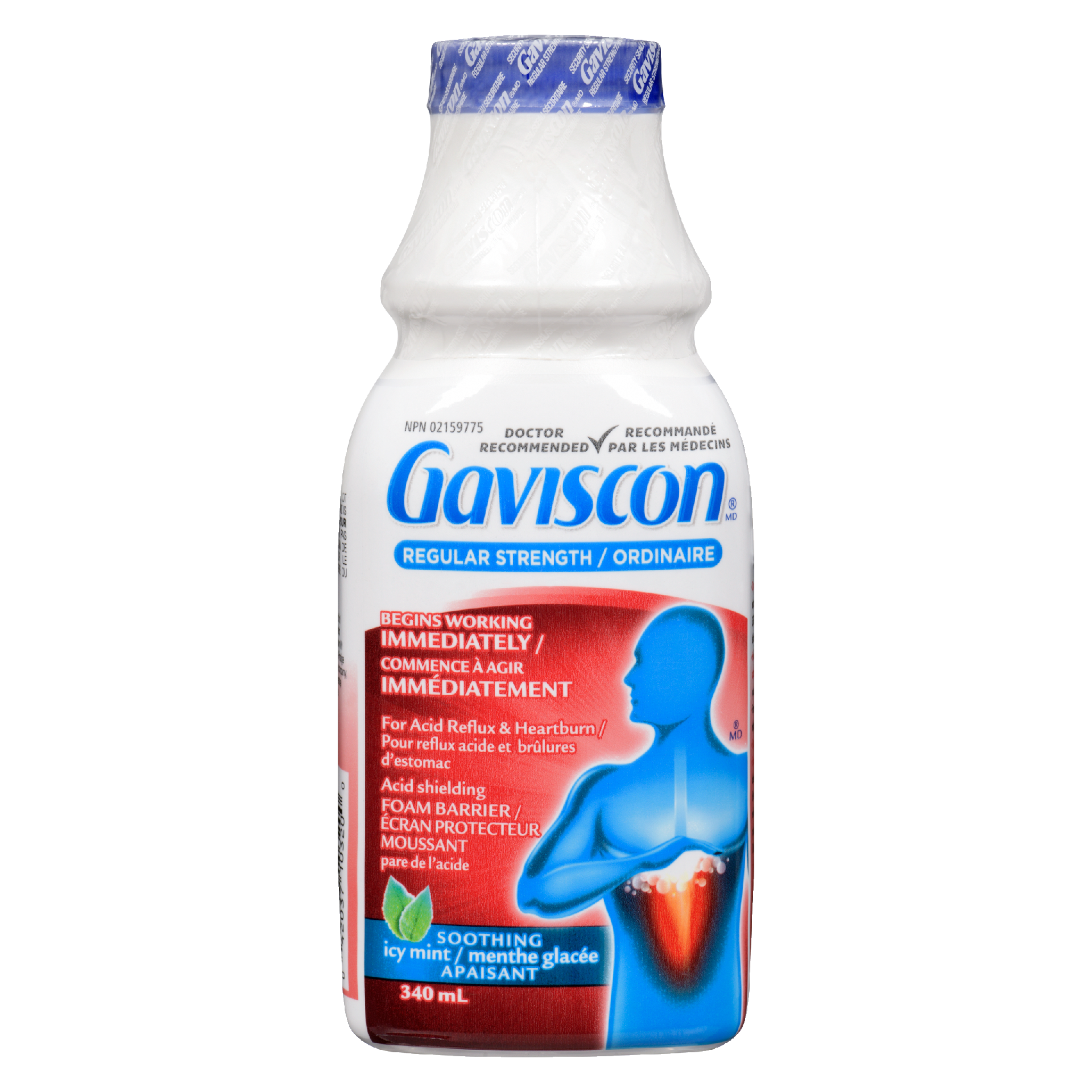 Gaviscon Acid Shielding Foam Barrier Regular Strength Soothing Icy Mint 340 ml