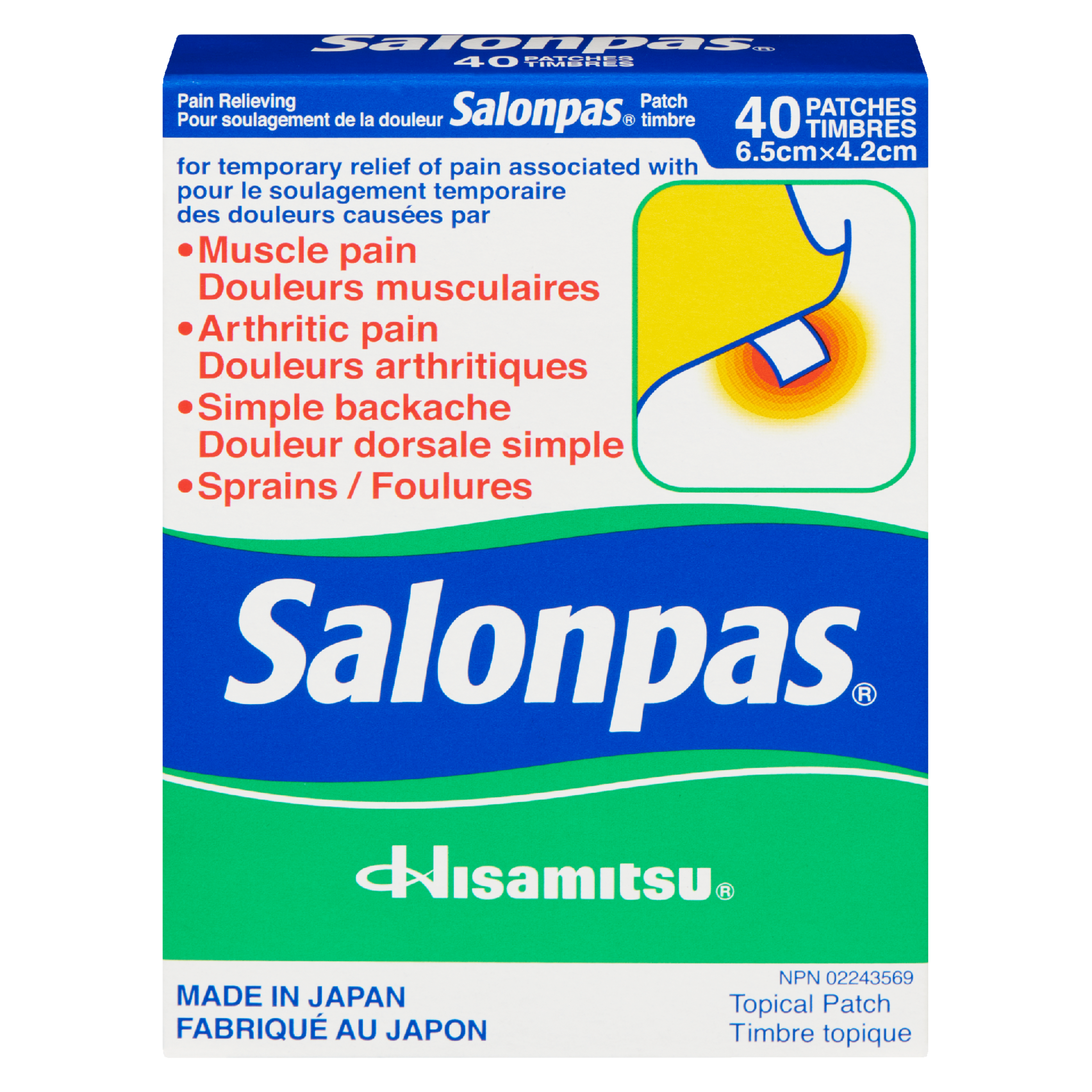 Hisamitsu Salonpas Pain Relieving Patch 40 patches