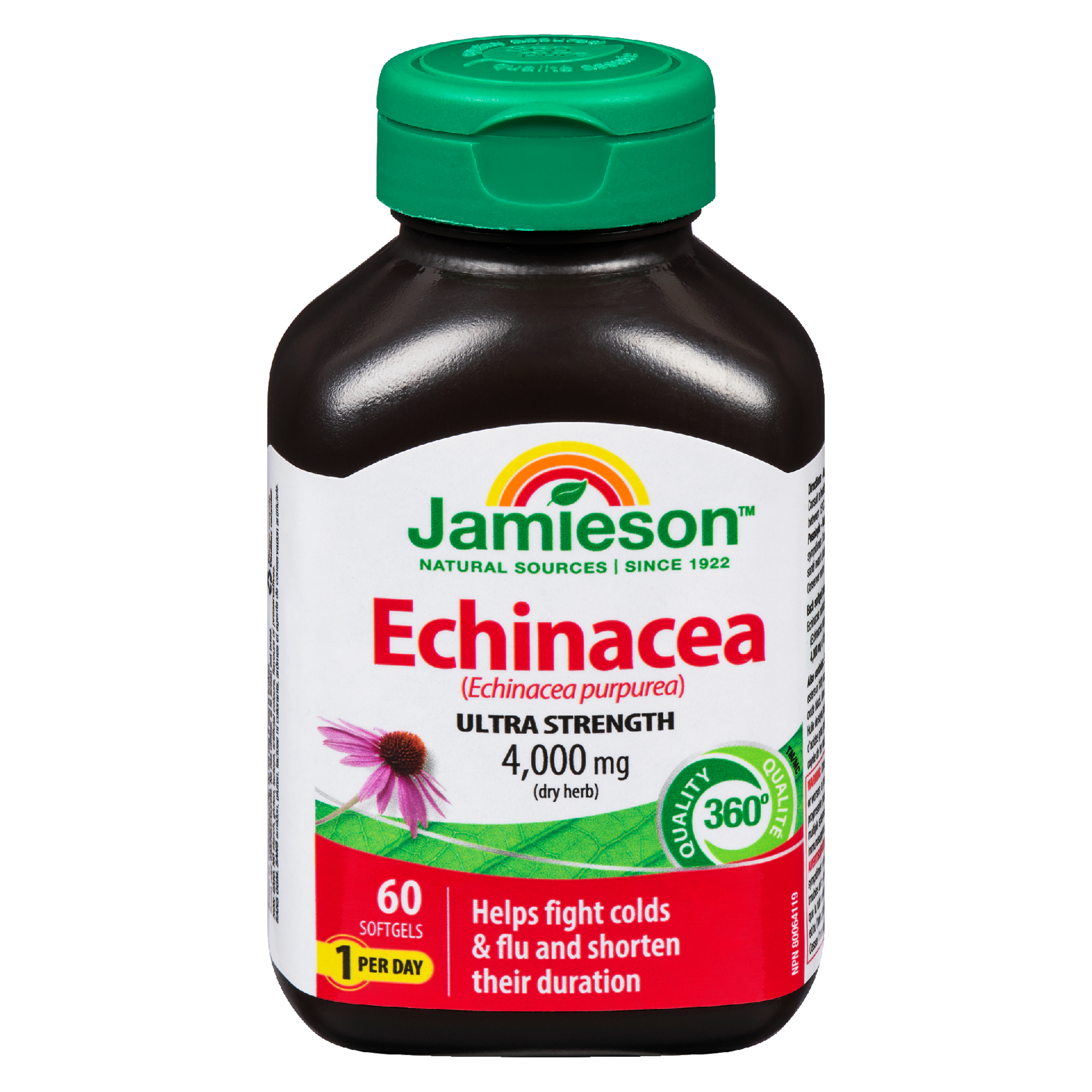 Jamieson Echinacea Ultra Strength 4,000 mg Dry Herb 60 Softgels