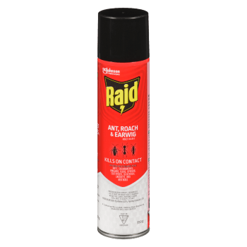 Raid Ant, Roach & Earwig Insect Killer 2 350 g