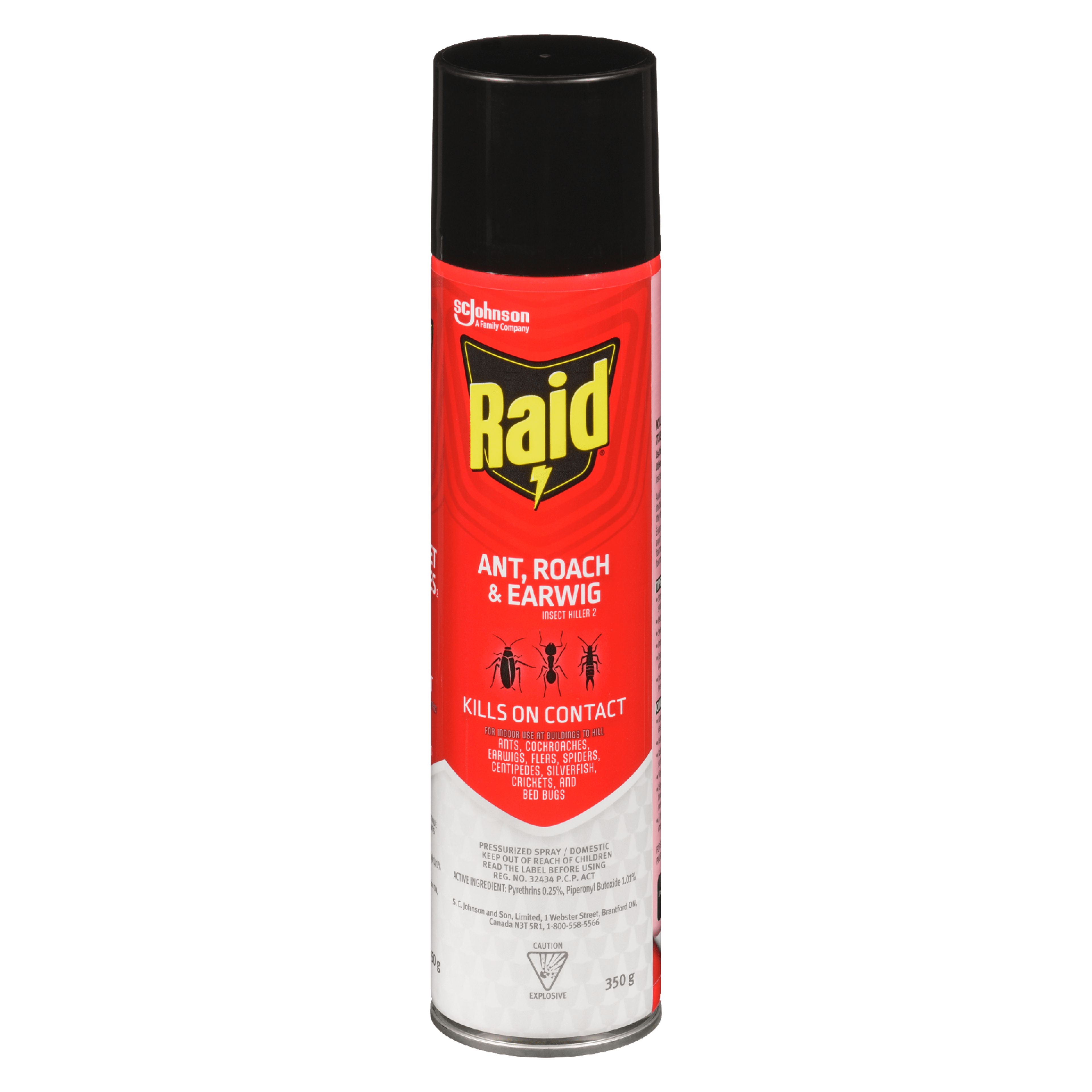 Raid Ant, Roach & Earwig Insect Killer 2 350 g