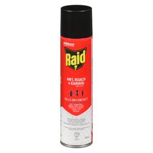 Raid Ant, Roach & Earwig Insect Killer 2 350 g