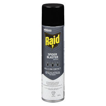 Raid Spider Blaster Bug Killer 6 350 g