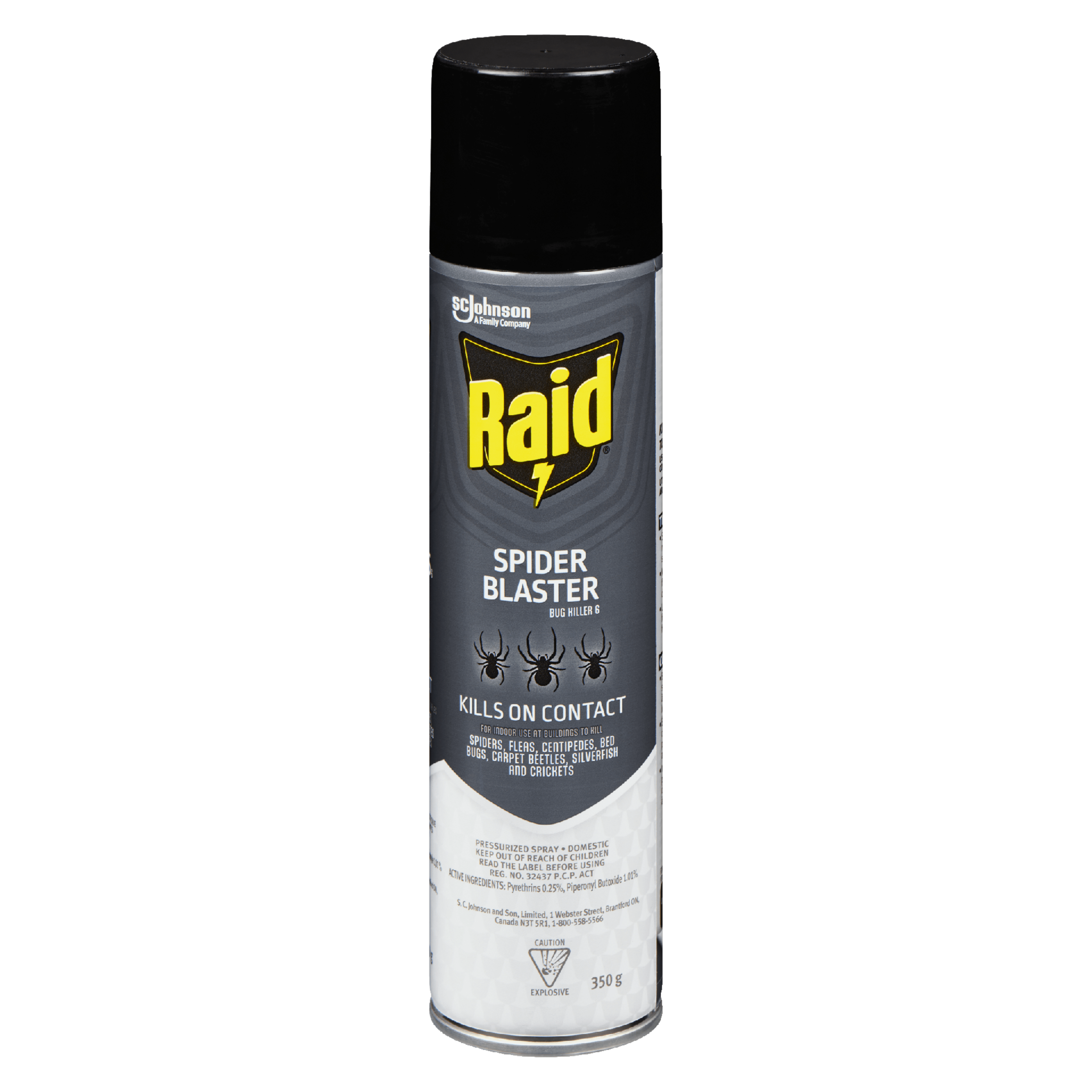 Raid Spider Blaster Bug Killer 6 350 g