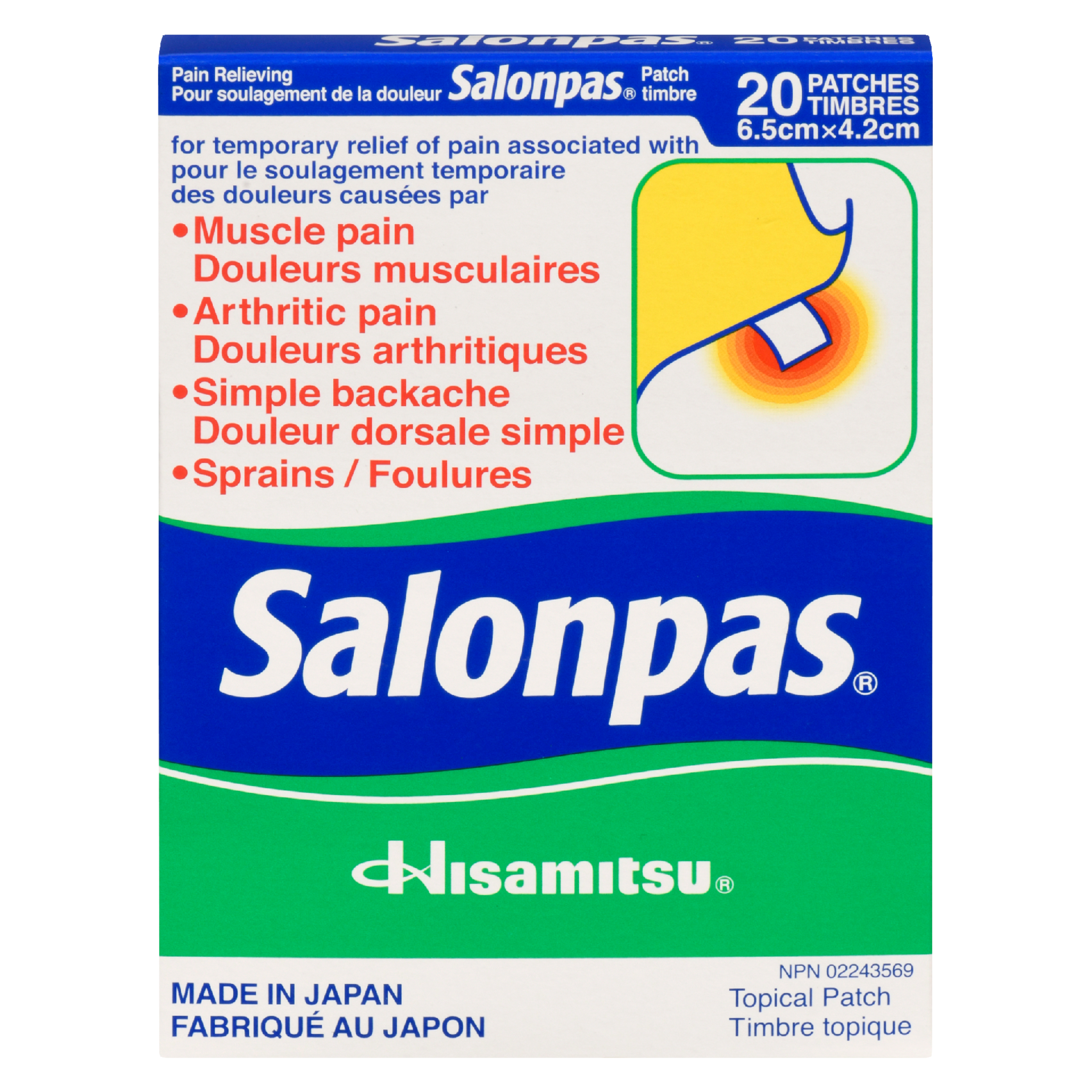Salonpas Pain Relieving Patch 20 Patches