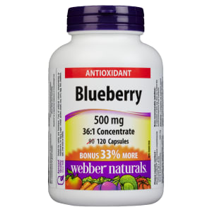 Webber Naturals Antioxidant Blueberry 500 mg 120 Capsules